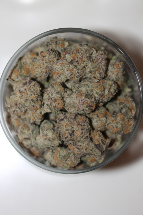 purloiner:One ounce of Purple Punch grown by The Village.