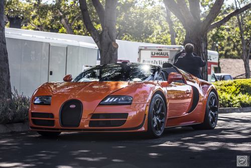 An orange Bug taking a nap under a tree… Bugatti Veyron Grand Sport at The Quail by I am Ted7 on Flickr