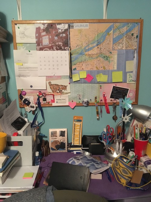 studyblrrenaissance
