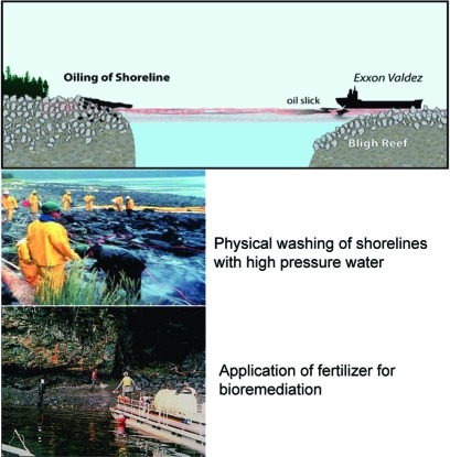 Exxon valdez case study assignments