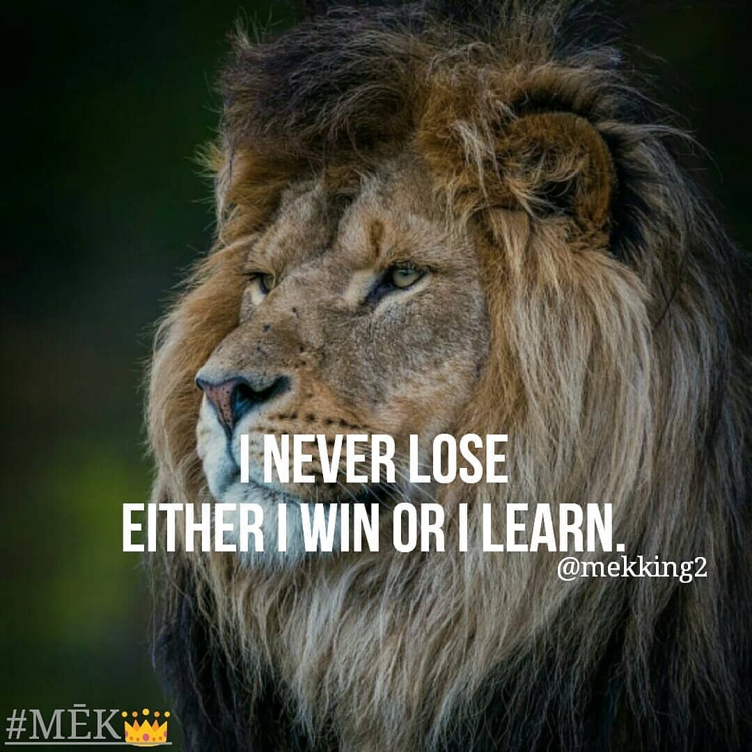 Lion Motivational Quotes Wallpaper Hp Tumblr 4 Wallpaper