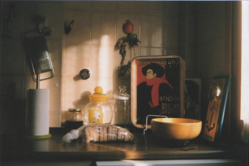 lomopotato:Untitled by Silvia Conde on Flickr