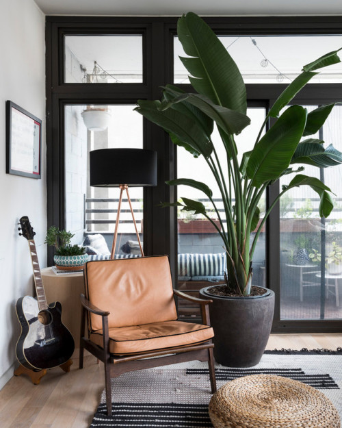 gravityhome:Brooklyn apartment | photos by Claire...