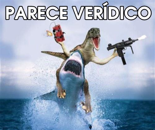 tumblr_o3632eVinI1qmh1nco1_500.jpg