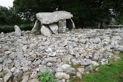 thesilicontribesman:Dyffryn Prehistoric Burial Chambers,...