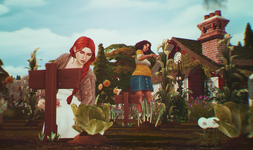 heartmeadows