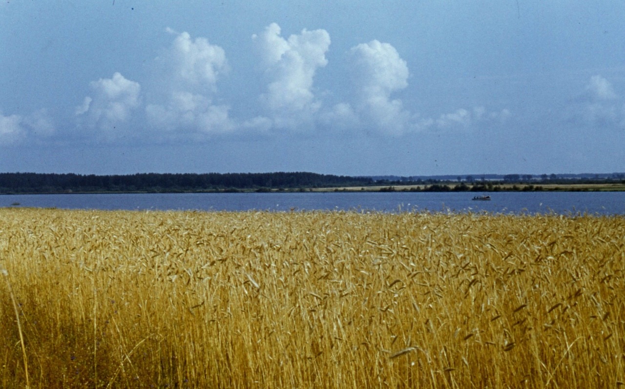 Volga river. Tver region, Russia (1973)