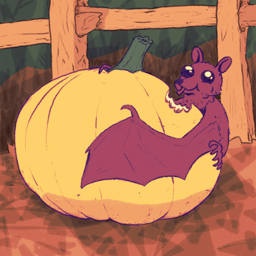 brokenimagefiles:Pumkin… is…. a fruit.Patreon - Twitter -...