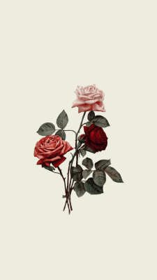 Roses Lockscreens Tumblr