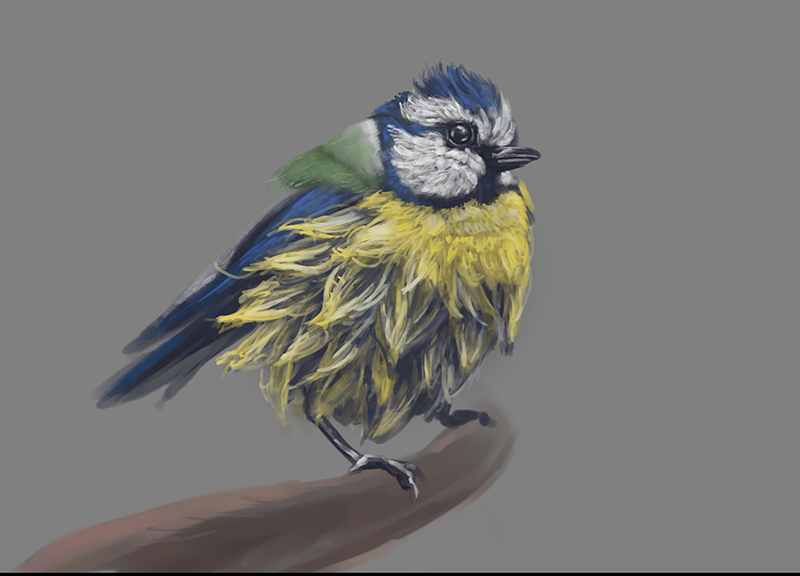 Blaumeise dissertation