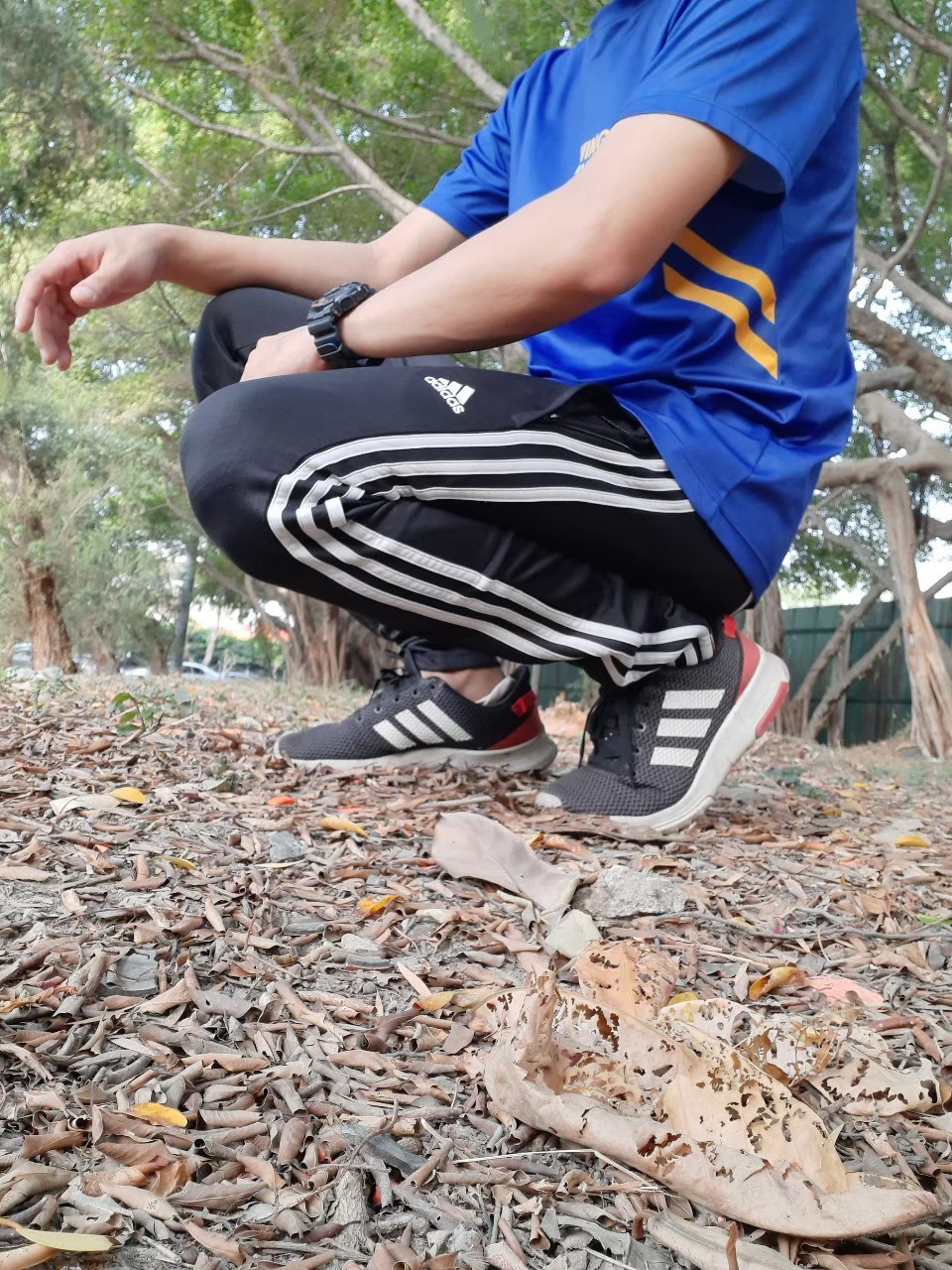 Trackies on Tumblr