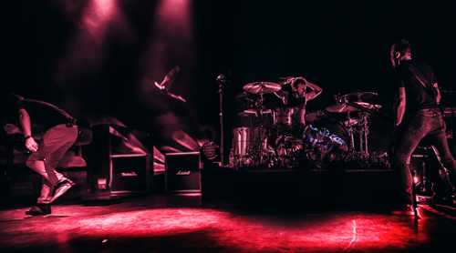 quellfalconer:Muse live at Shepherd’s Bush Empire, 19th of...