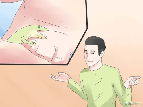 swampshark:lizard-related wikihow art is my new aesthetic