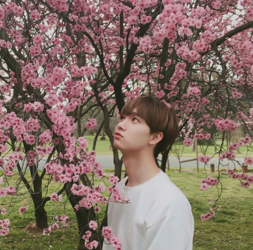ulzzang ulzzang icons ulzzang girls ulzzang boys ulzzang girl icons ulzzang boy icons ulzzang pink pink spring ulzzang spring icons site model icons icons girl icons boy icons korean icons asian icons