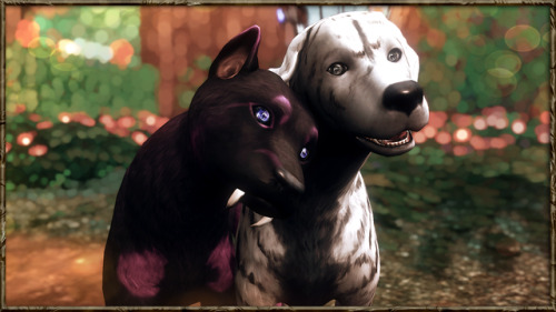 Sims 4 Dogs Tumblr