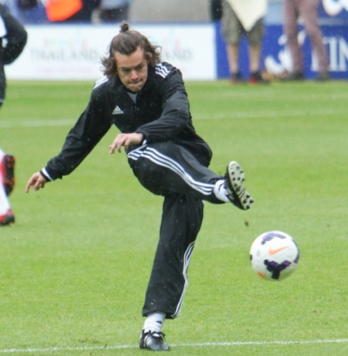 harrystylesmedia
