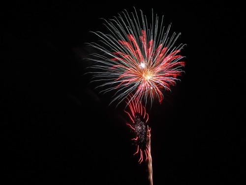 rossliam99:I also took these at the fireworks show.Absolutely...