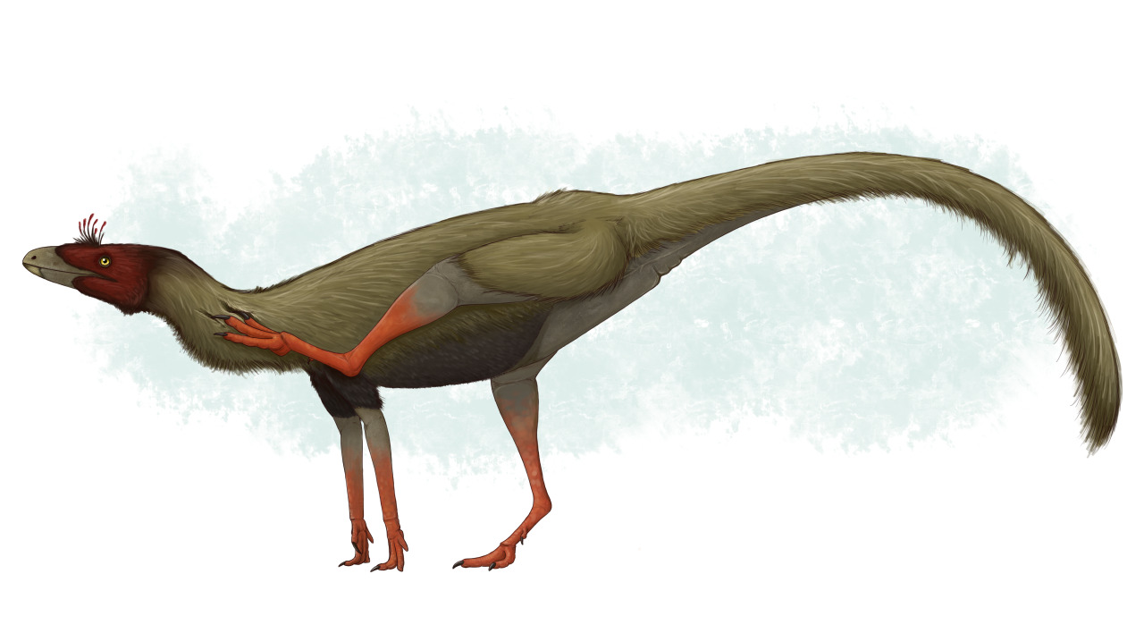 A Dinosaur A Day · Sacisaurus agudoensis