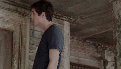 Tommy & Thélio - Page 3 Tumblr_nlvxtxUuwe1rbp7sqo6_r4_250