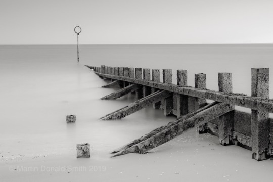 groyne on Tumblr