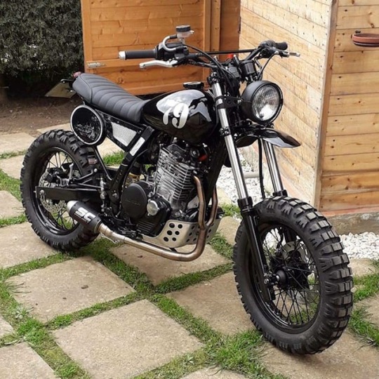 honda nx 650 scrambler