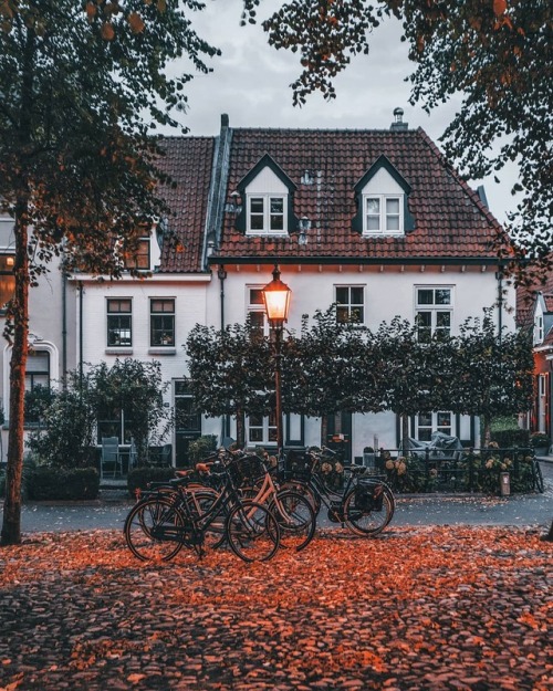 autumncozy:By een_wasbeer