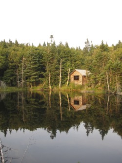 Cabin on the Appalachian Trail near Mt. Greylock, Massachusetts, USA