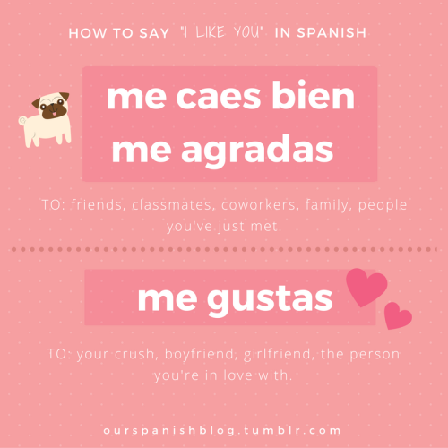 The Average Hombre A Spanish Learning Blog