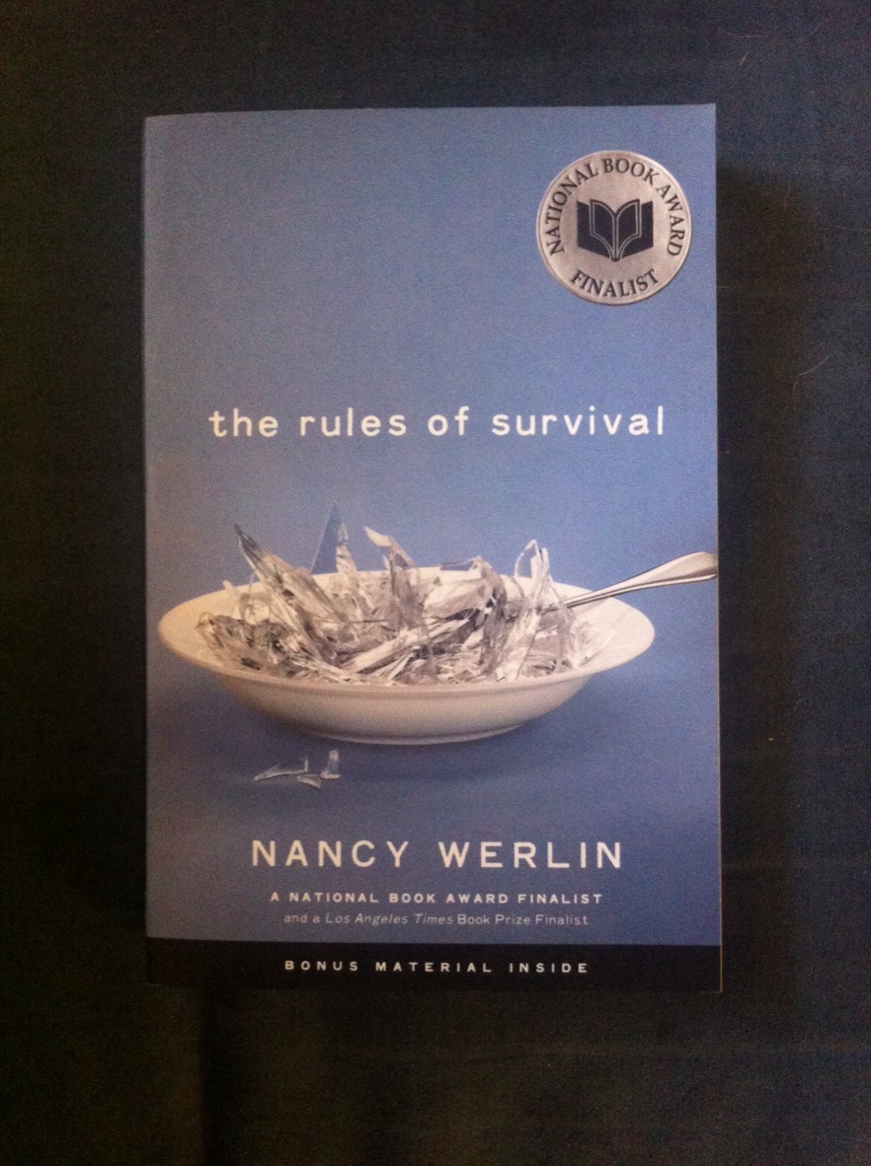 The Rules of Survival by Nancy Werlin