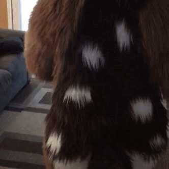 tumblr_pjhl06QRuw1s14ene_400.gif