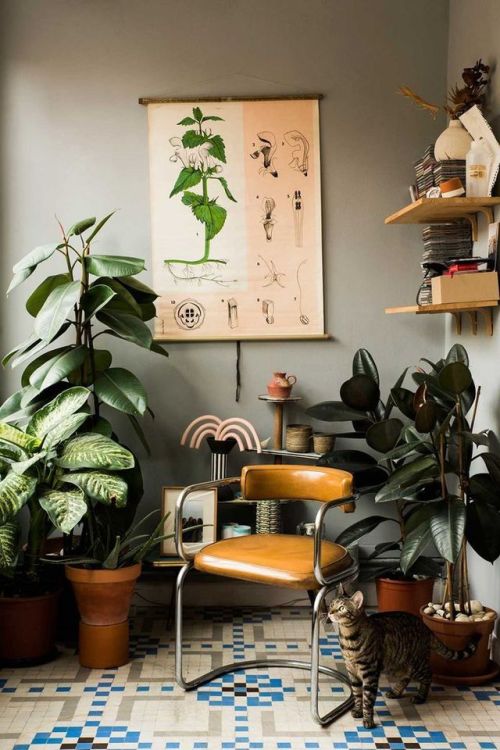 interior-design-home:A Plant Filled Home in Barcelona