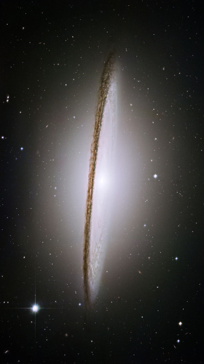 the-wolf-and-moon:Sombrero Galaxy