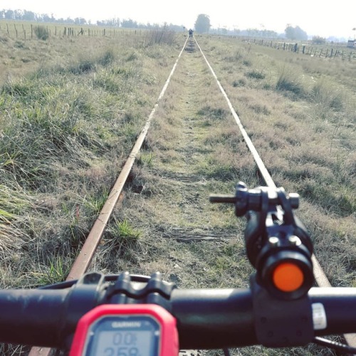 Recorriendo vias muertas#mtb#viasmuertas#trenes