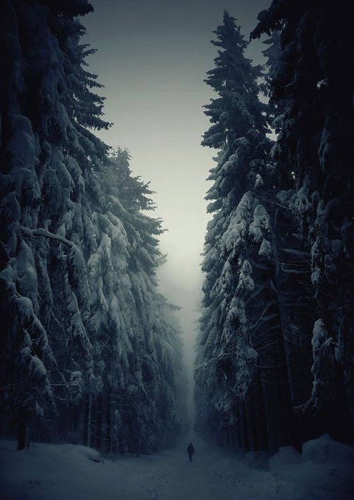 destynnee-realta:asylum-art:Magical Paths Begging To Be...