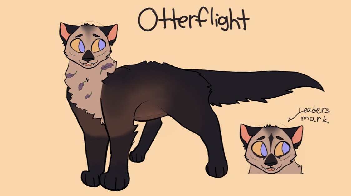 A Simple Warrior Cats Blog — Got any ocs you can show us?