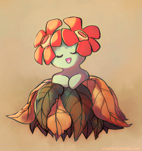 ursariiing:i love bellossom,,,,fall is almost over but i felt...