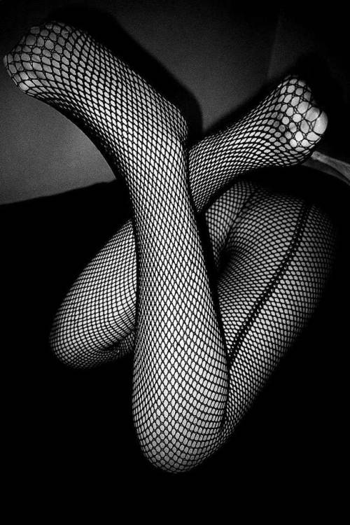 acardinalisred:daido moriyama