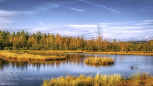 autumn at the Bohemian moor pond by wachter972