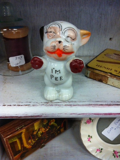 Thrift store pussy