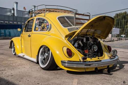 dubcars:Canary beetle