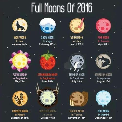 thecraftingguy:Full Moons of 2016