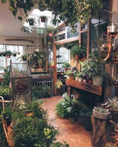 Patio with skylight and lots of foliage