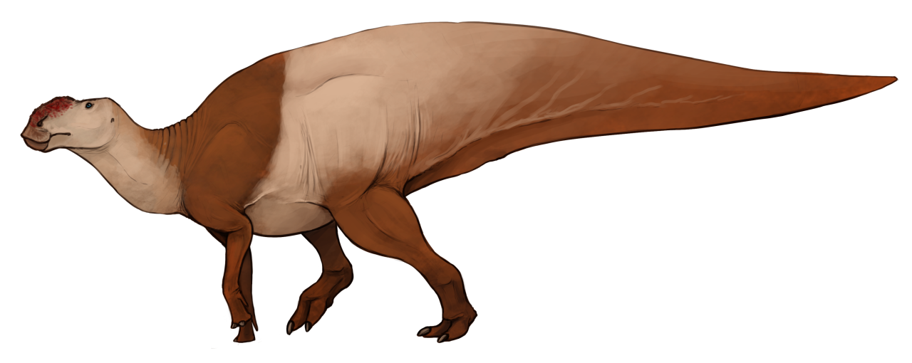 hadrosaurus foulkii