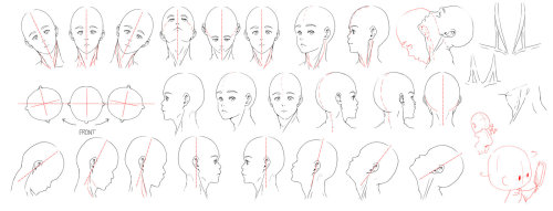 helpyoudraw:Resources: Head-Neck 1 by deeJuusan