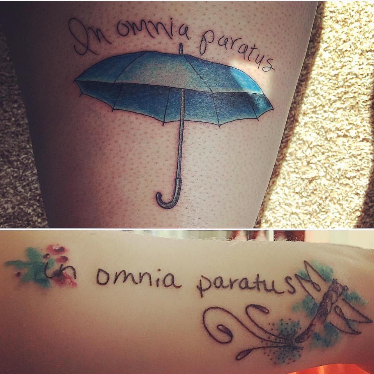 In Omnia Paratus Tattoo Design