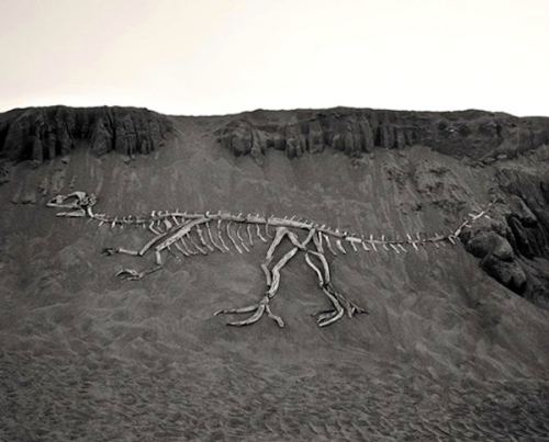 mymodernmet:For his series Driftwood Dinosaurs, Japanese...