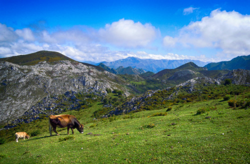 compressionoftime:Lagos de Covadonga (Asturias)