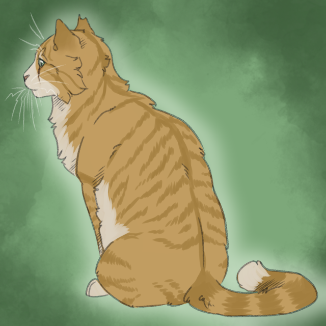 ginger mackerel tabby cat ginger mackerel tabby cat