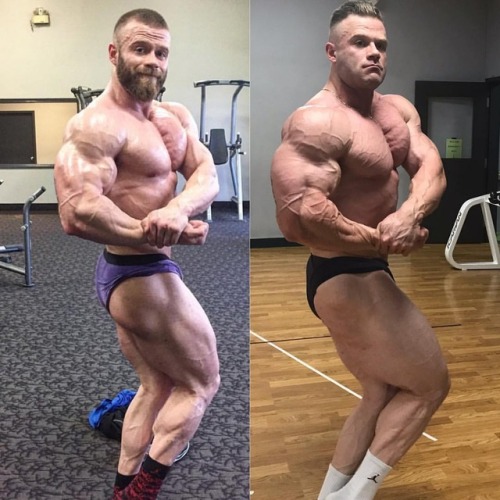 Submit2Muscle