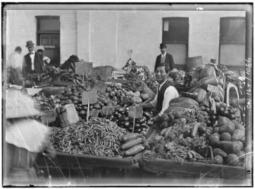 what happened in 1910 in australia what happened in 1910 in australia